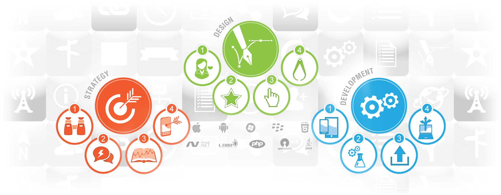 Custom Software Development & Compliance Systems